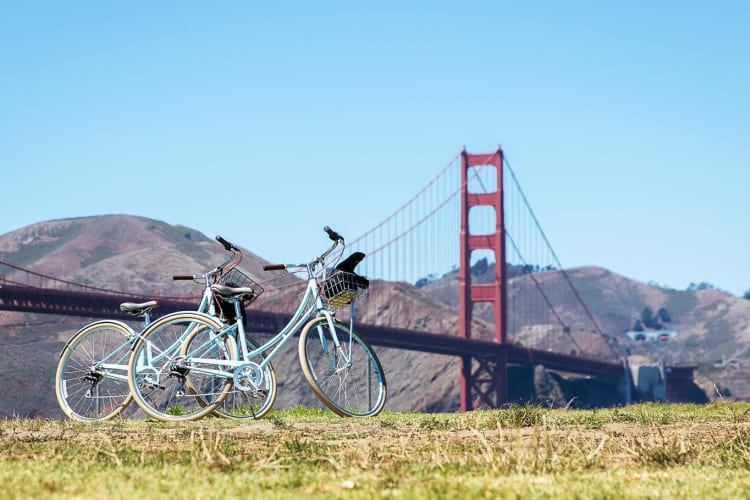Bike rental